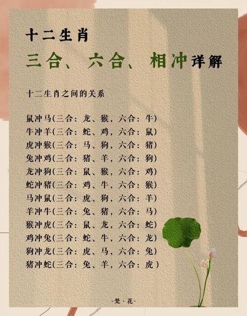 今日冲什么生肖合什么生肖的简单介绍