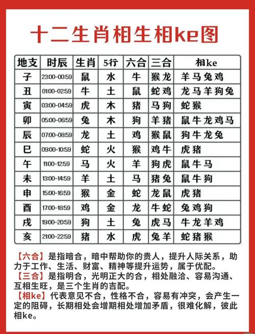 水肖是什么生肖有哪些生肖呢、水肖是什么生肖有哪些生肖呢视频