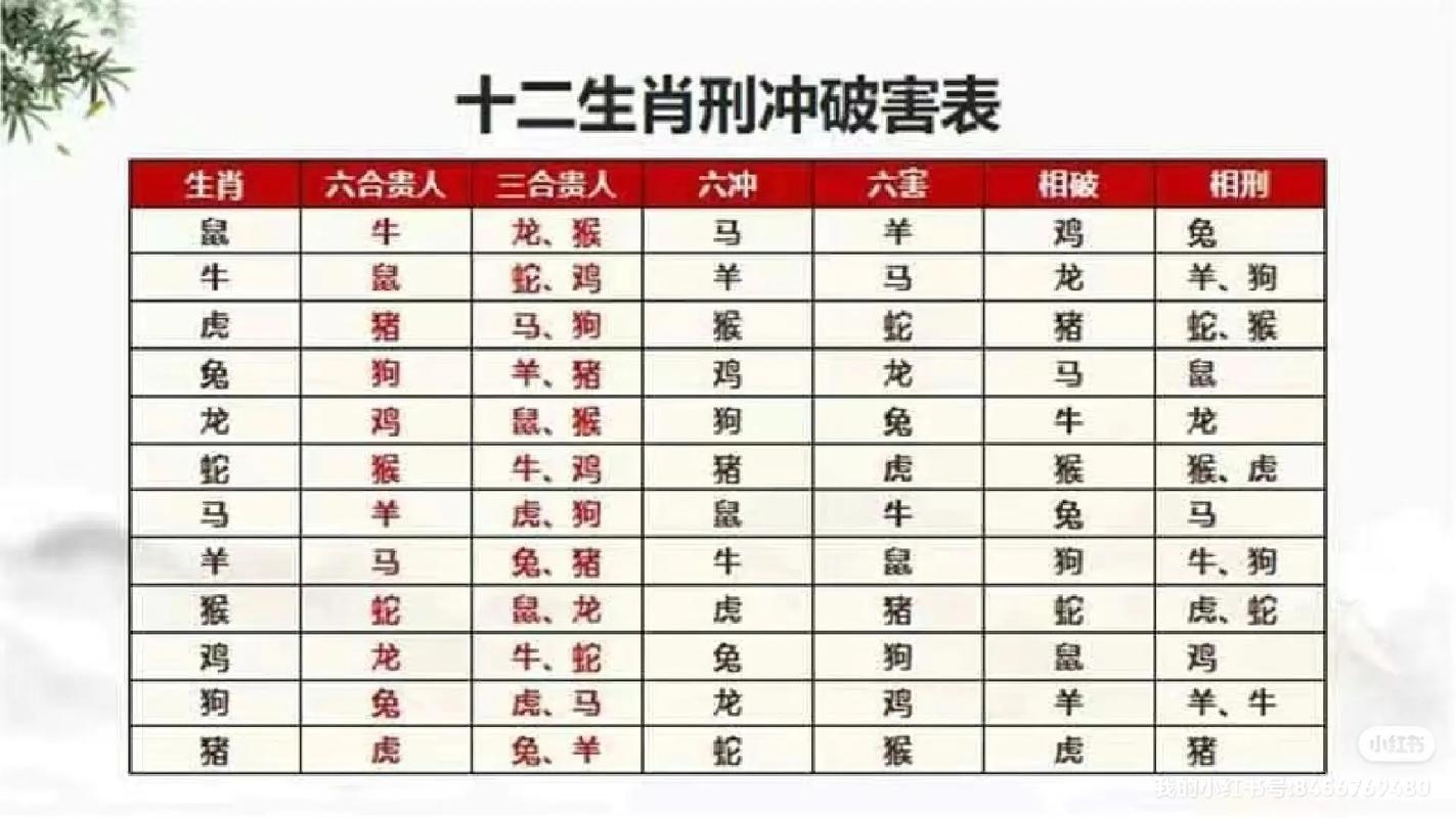 6合是什么数字和生肖、6合是什么数字和生肖有关
