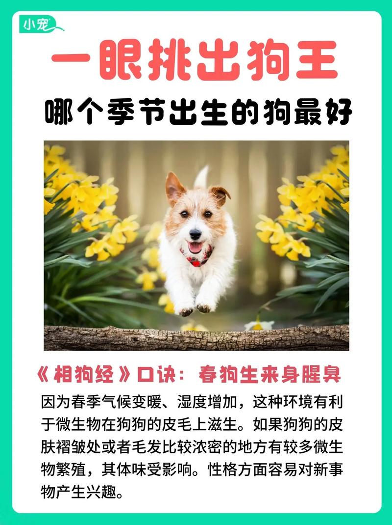 “将门出生有犬子，天地一间相隔一”是什么生肖动物的简单介绍