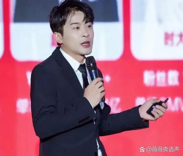 辛巴资产多少亿、辛巴的资产大概多少