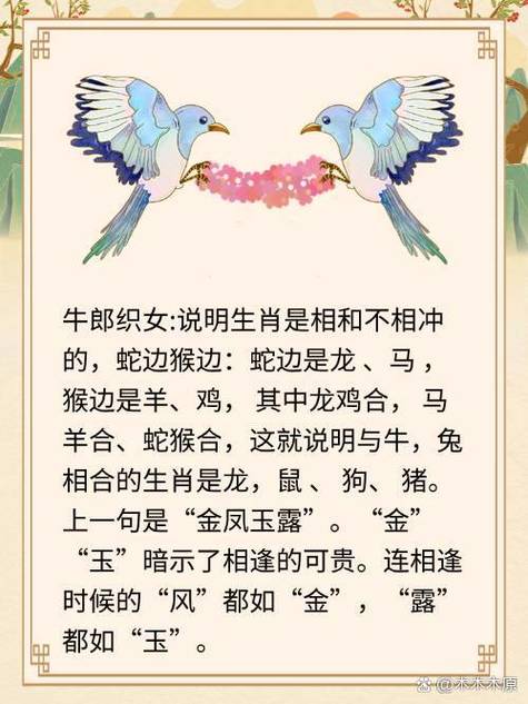 今期生肖是织女开过什么生肖、今期生肖是织女开过什么生肖呢