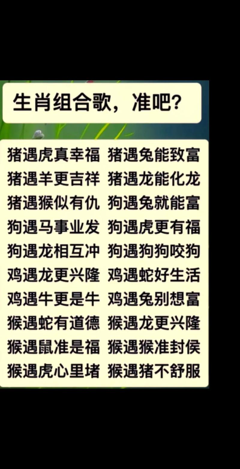 包含“兄弟把酒视东风”打一动物生肖的词条