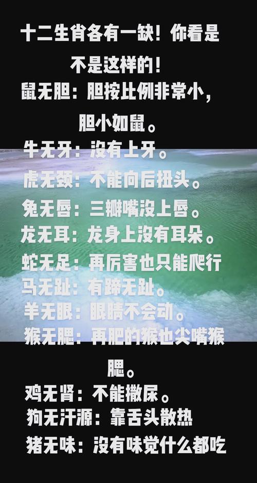 开口恶毒不留情指的是什么生肖、开口恶毒不留情指的是什么生肖动物