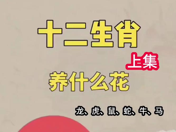 今期生肖开红花最佳动物是什么、今期生肖开金花是什么生肖请回答