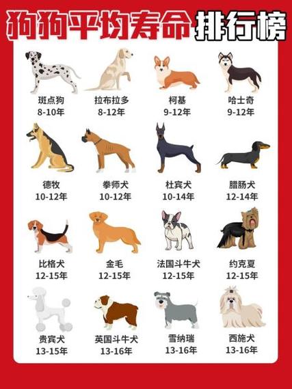 狗狗寿命一览表、狗狗寿命排行榜1至79