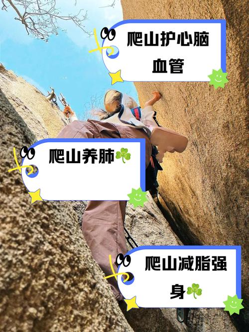 爬山软件是什么意思、爬山软件是什么意思啊