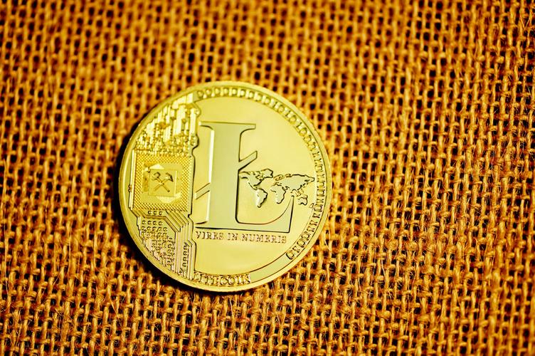 莱特币多少美元一个、莱特币多少美元一个月