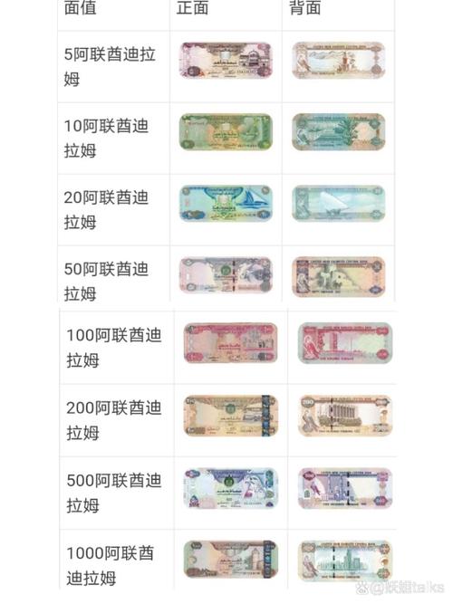 索拉纳币英文缩写是什么、索拉薇fatezero百科