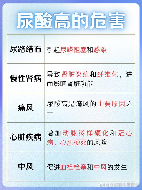 什么是尿酸高什么是痛风、什么是尿酸高,有什么危害