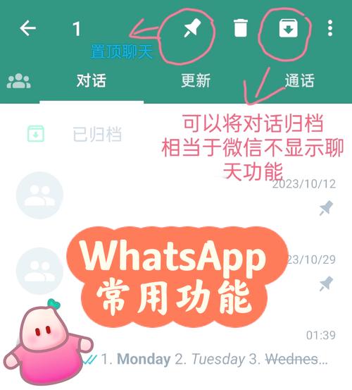 whatsapp怎么加好友进群、whatsapp怎么添加好友进群里