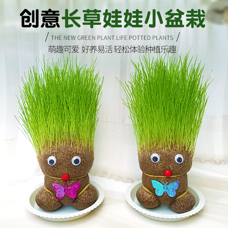 迷你花盆养的小植物、迷你花盆养的小植物放客厅好吗