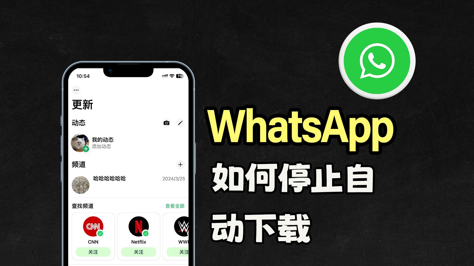 whatsapp官方网下载手机版、whatsapp官网手机版下载最新版