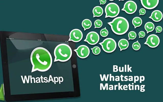 whatsapp软件下载、whatsapp app下载