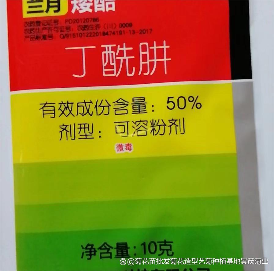 盆景批发价格一览表、盆景批发市场哪里便宜