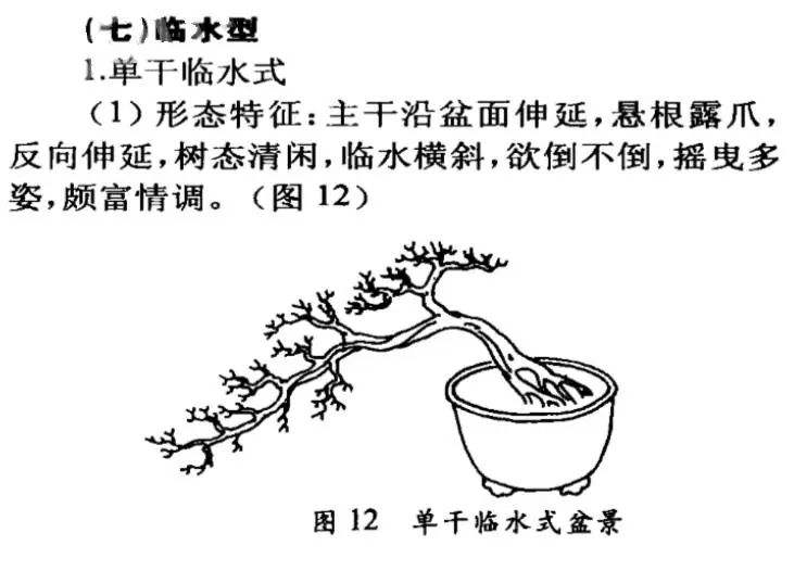 常见的盆景造型图解、常见的盆景造型图解视频