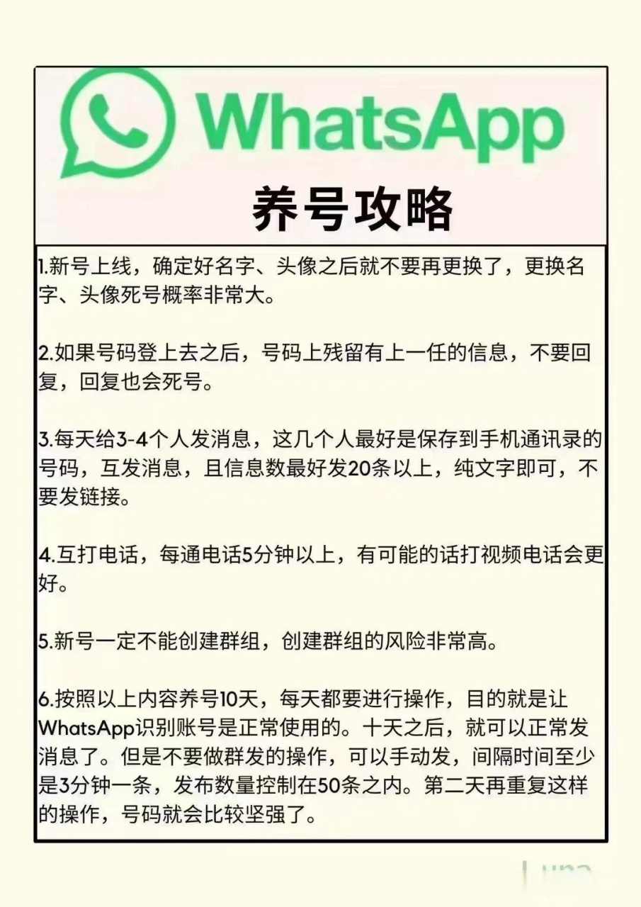 whatsapp下载苹果手机版下载、whatsapp bussiness 苹果下载