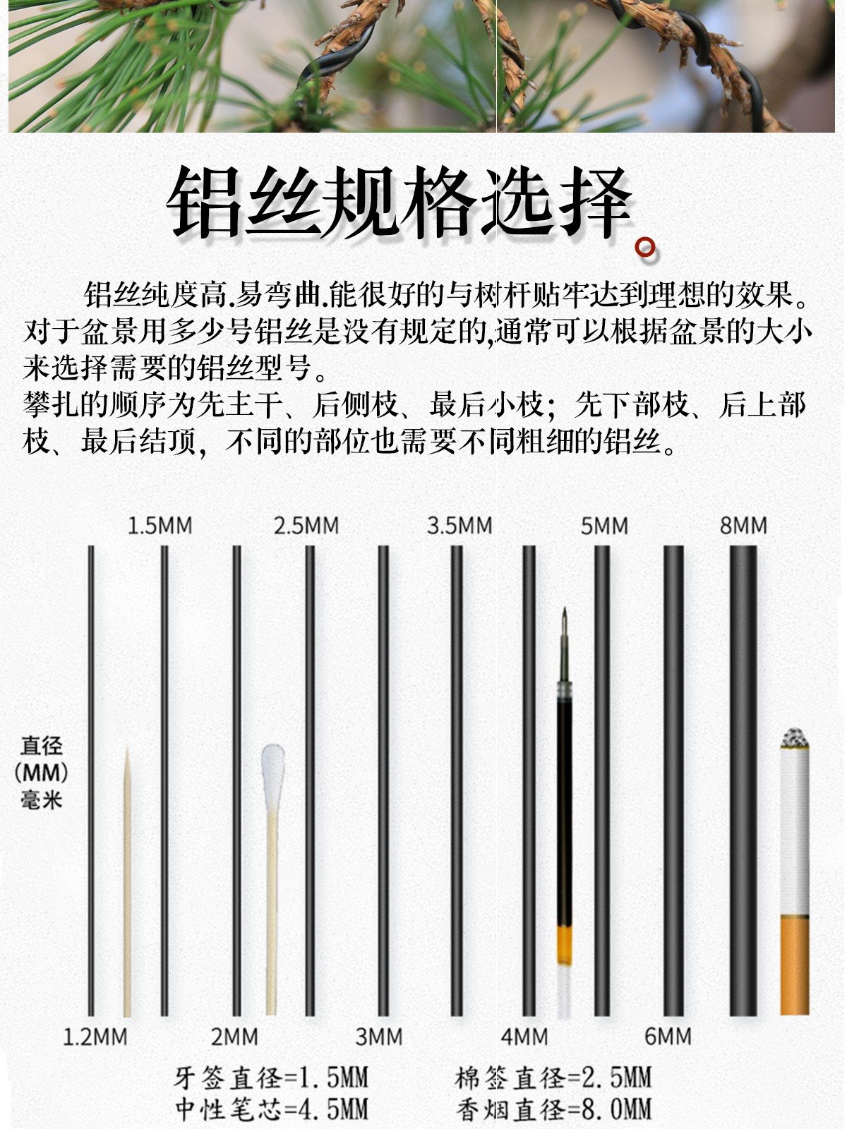 盆景底部铝丝怎么固定、盆景底部铝丝怎么固定在墙上