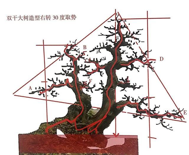 盆景造型制作软件、盆景造型制作软件下载