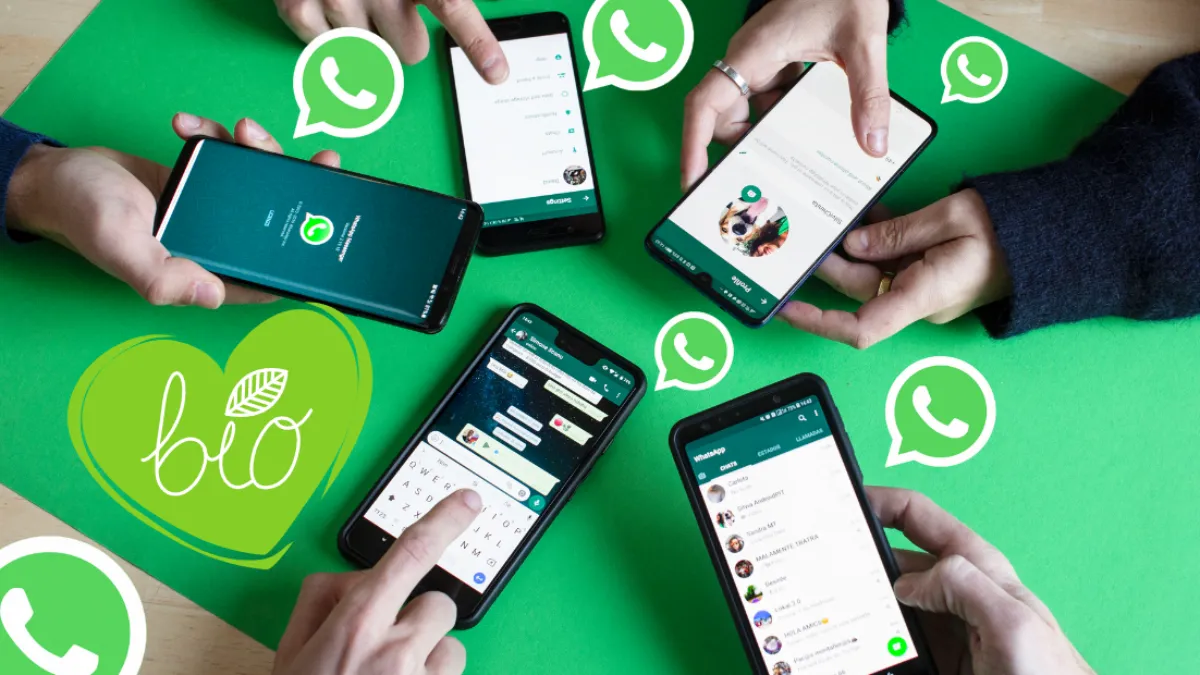 whatsapp、whatsapp无法发送sms短信至您的电话号码