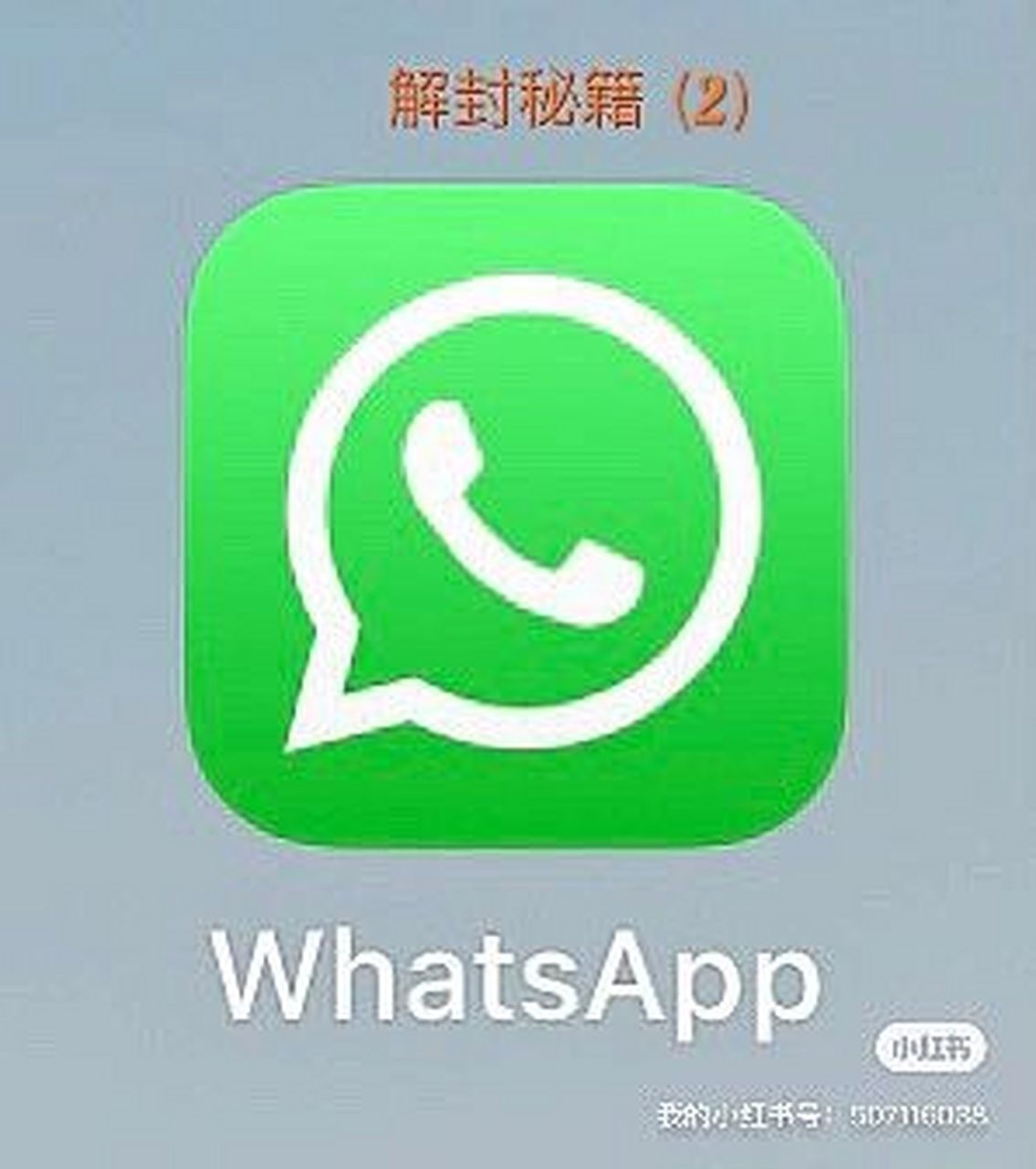 whatsapp官网下载不能用、下载whatsapp 怎么用不了