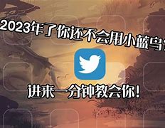 蓝鸟Birdy怎么下载、birdy官网中文版免费下载