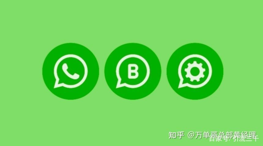 whatsappbusiness官网、whatsappbusiness官网下载