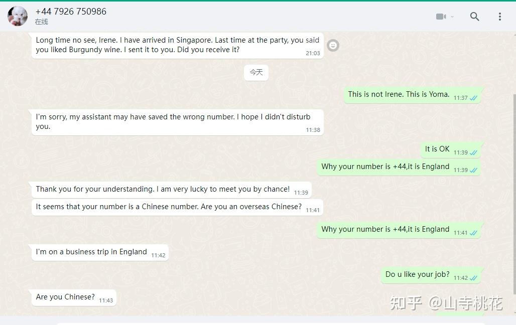 英文skype什么意思、英文skype是什么意思