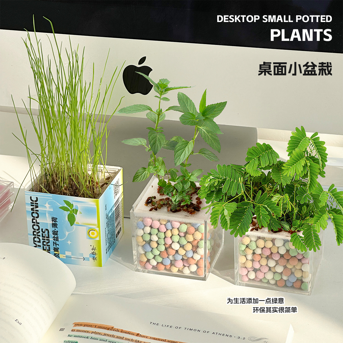 什么植物适合种盆栽植物、什么植物适合种盆栽植物图片