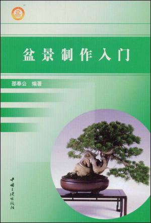 盆景制作入门视频大全教程、盆景制作入门视频大全教程图片