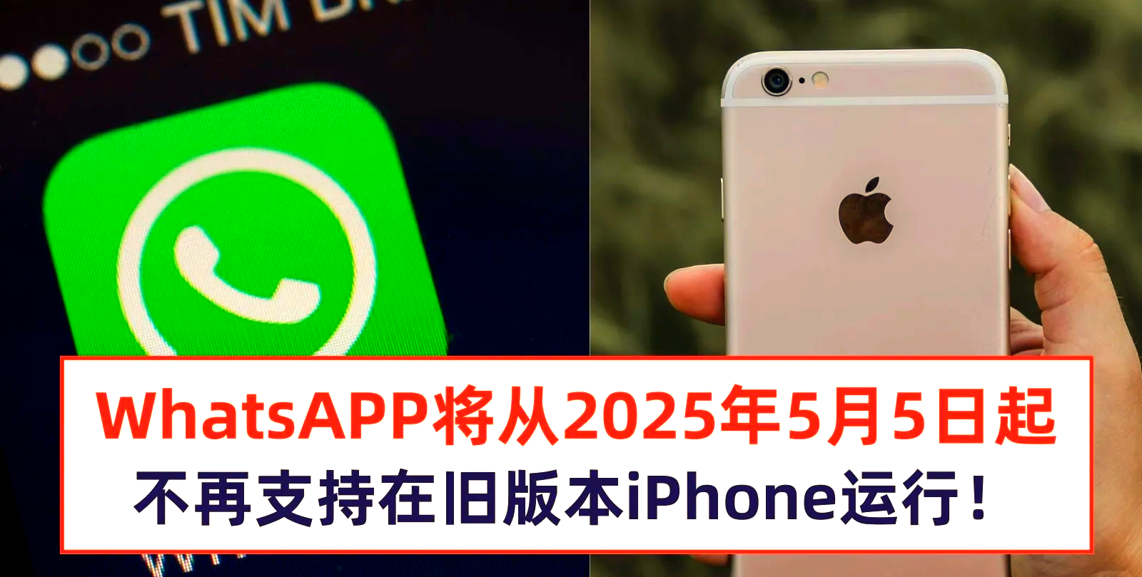 whatsapp国内能用吗苹果、whatsapp在中国苹果手机怎么才能用