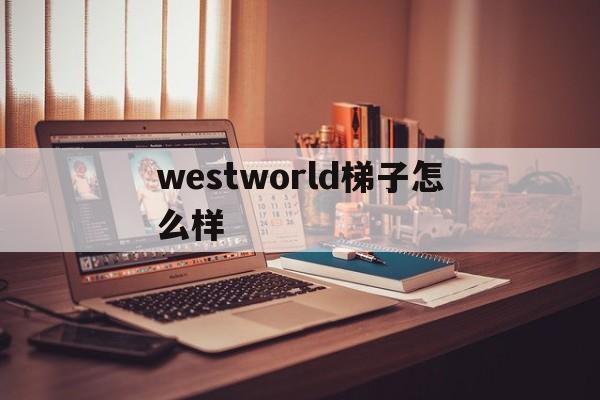 westworld梯子怎么样的简单介绍